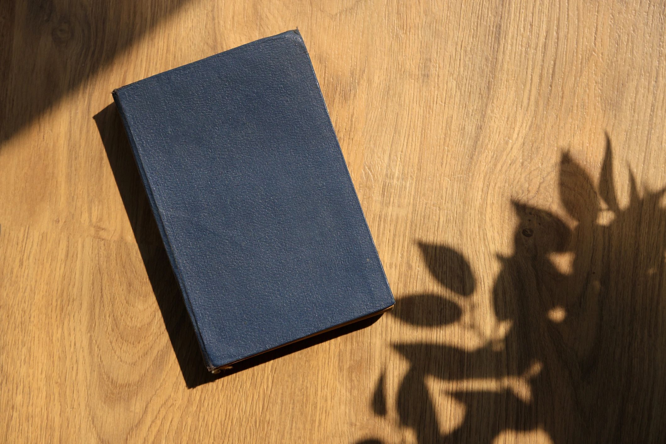 Closed book on a wooden surface with soft shadows